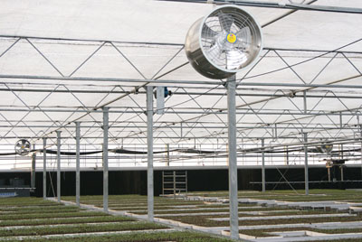 JHF Greenhouse Circulation Fan